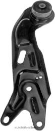 Autoteile Kaufen Schweiz - Chevrolet H0B6569 Querlenker 15292403