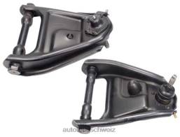 Autoteile Schweiz Shop - Chevrolet H0B6447 Querlenker 12383506