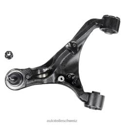 Autoteile Schweiz Shop - Land-Rover H0B6807 Querlenker rbj500850
